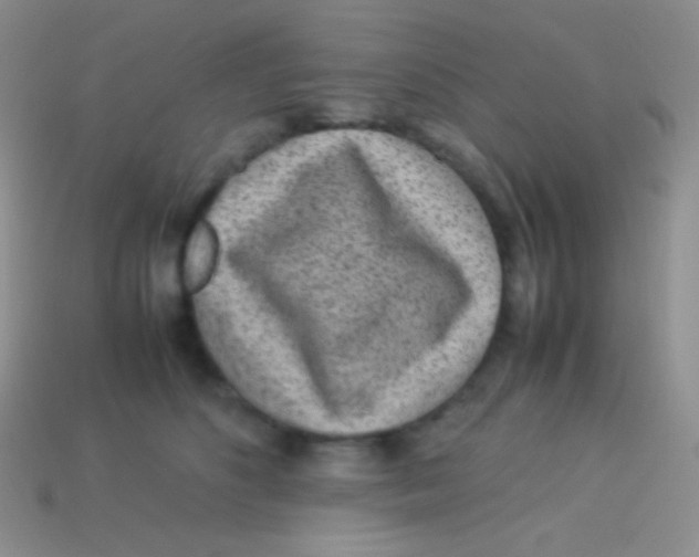 X0000113640516200910162040