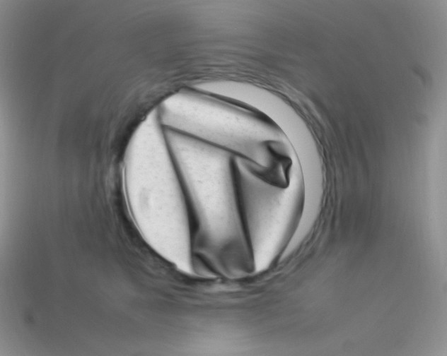 X0000113640517200910162040