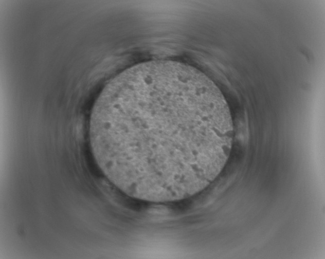 X0000113640519200910162040