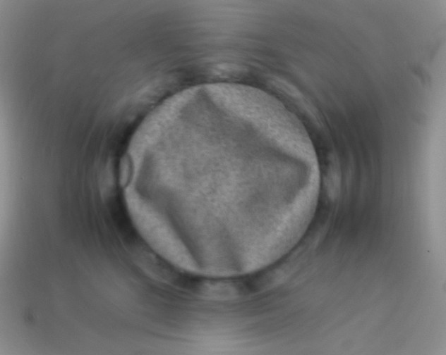 X0000113640520200910162040