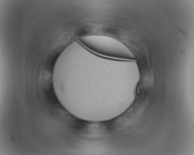 X0000113640521200910162040