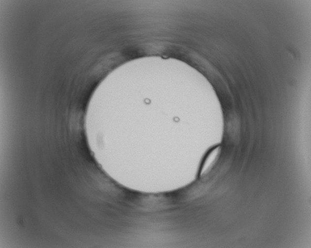 X0000113640525200910162040