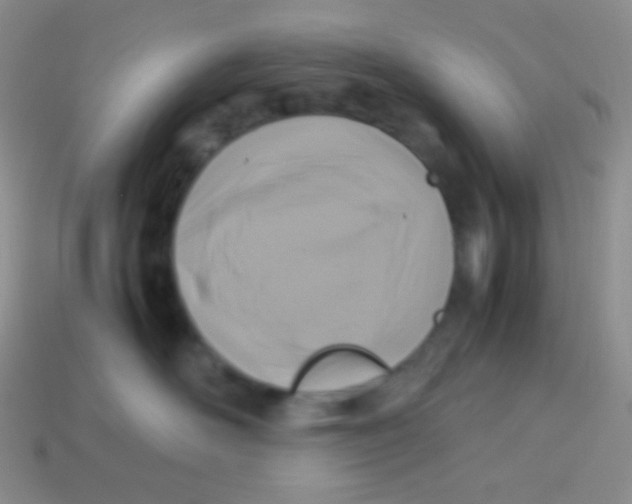 X0000113640526200910162040