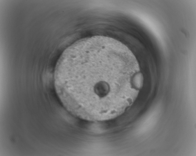 X0000113640527200910162040