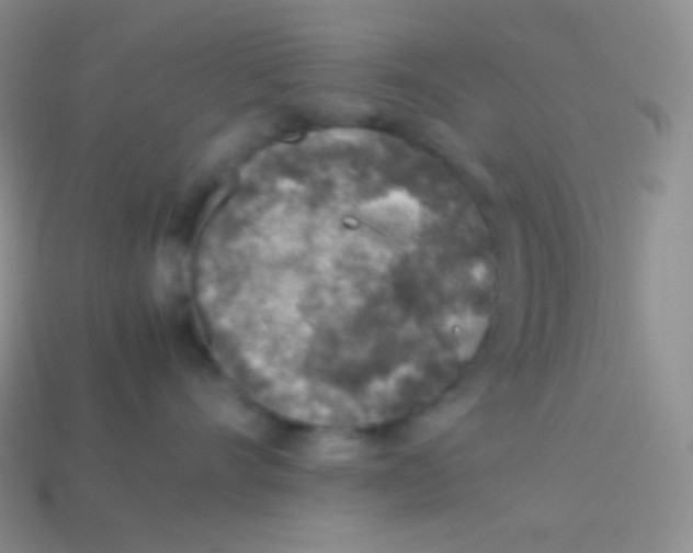 X0000113640528200910162040