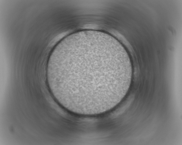 X0000113640529200910162039