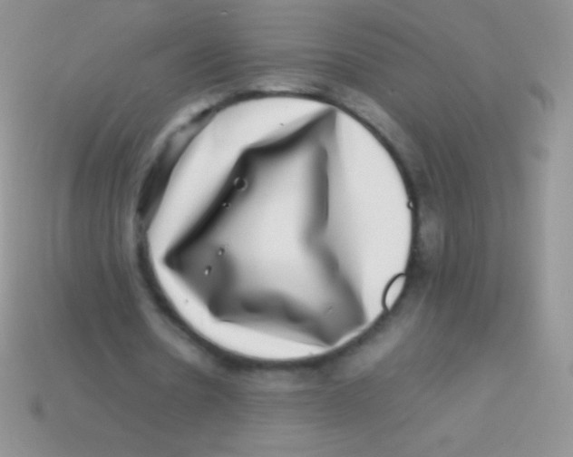 X0000113640530200910162039