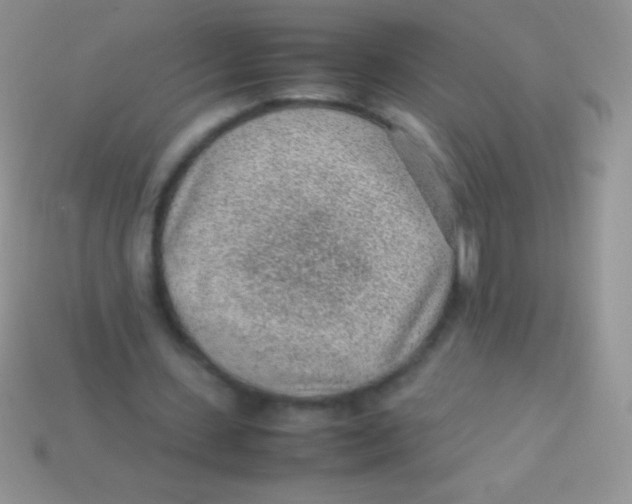 X0000113640531200910162039