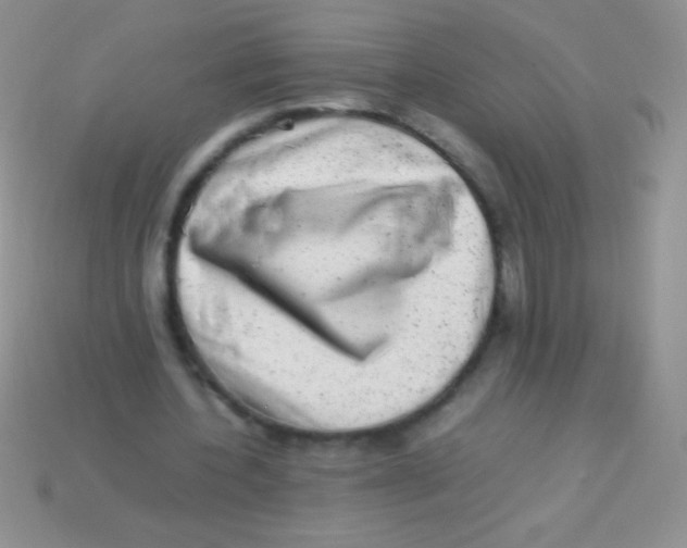 X0000113640532200910162039