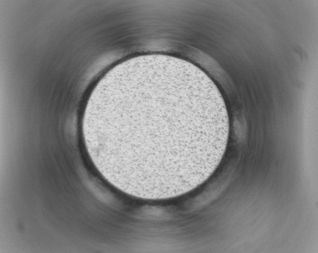 X0000113640534200910162039