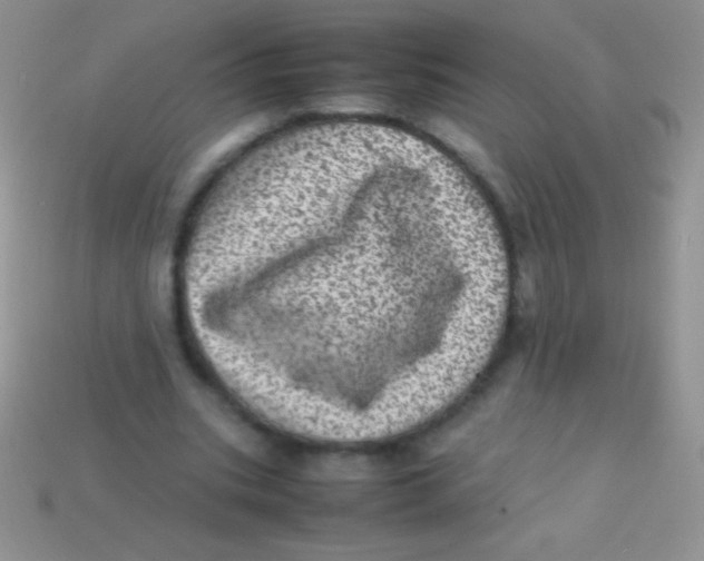 X0000113640535200910162039