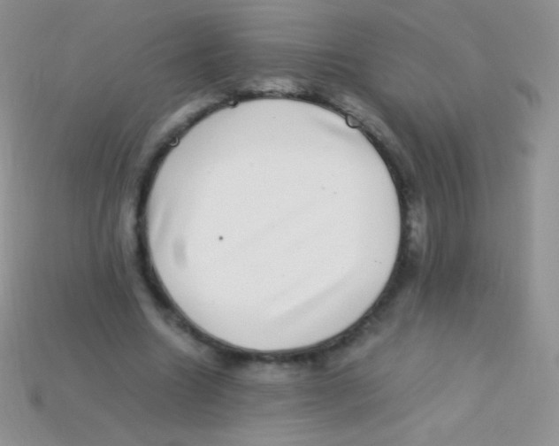 X0000113640538200910162039