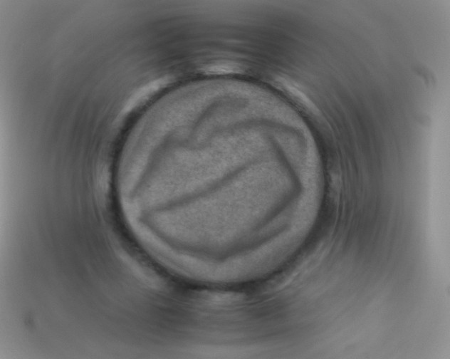 X0000113640539200910162039