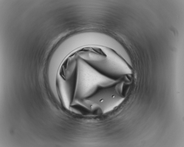 X0000113640540200910162039