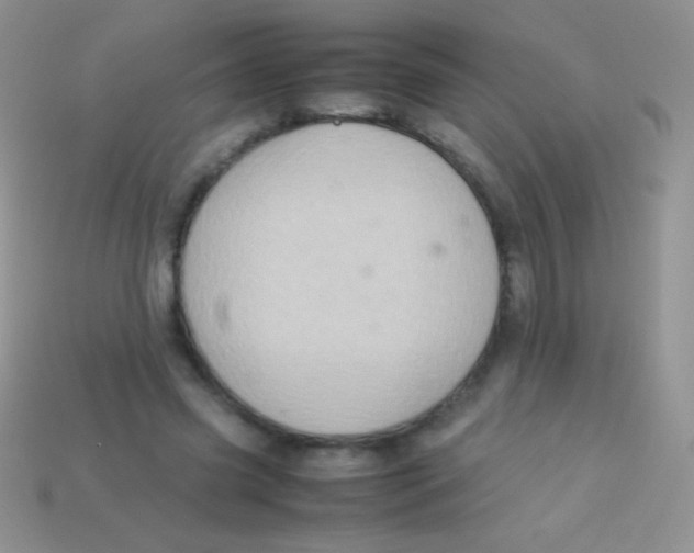 X0000113640541200910162039