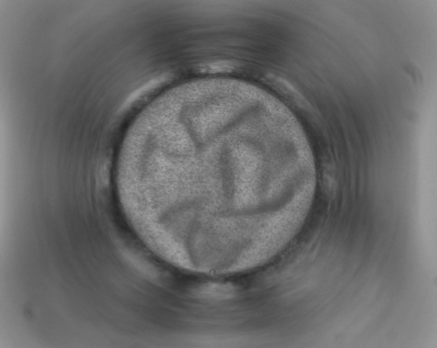 X0000113640543200910162039