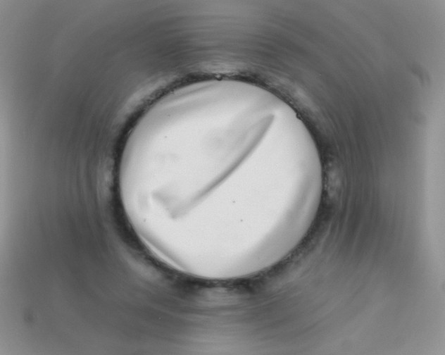 X0000113640544200910162039