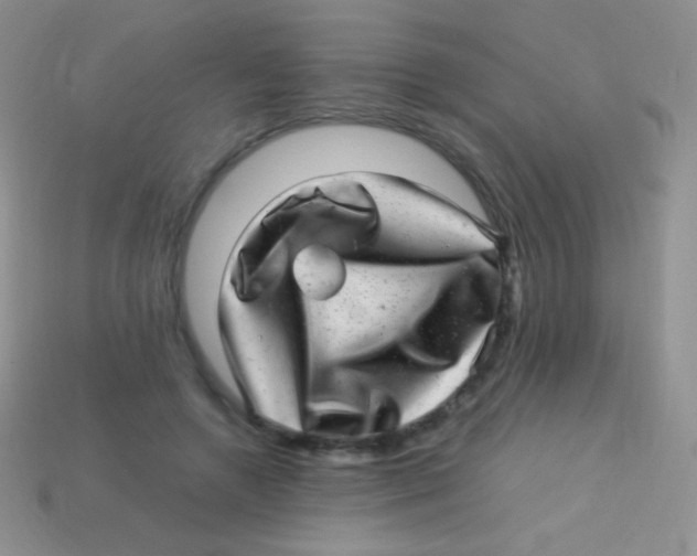 X0000113640546200910162039