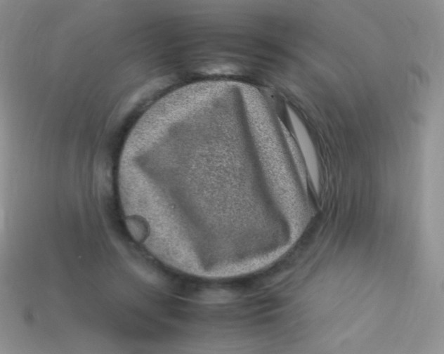 X0000113640547200910162039