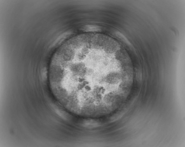 X0000113640549200910162039