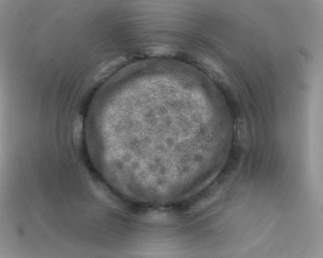 X0000113640550200910162039