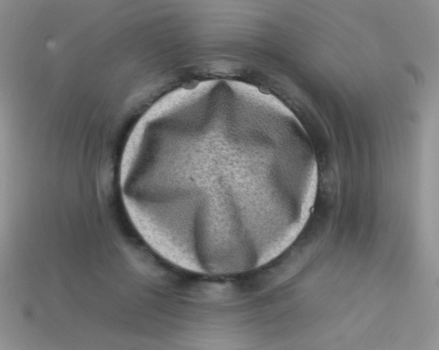 X0000113640552200910162039