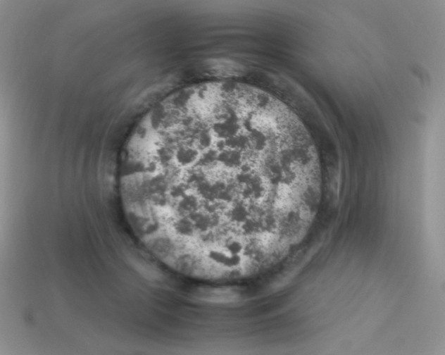 X0000113640553200910162039