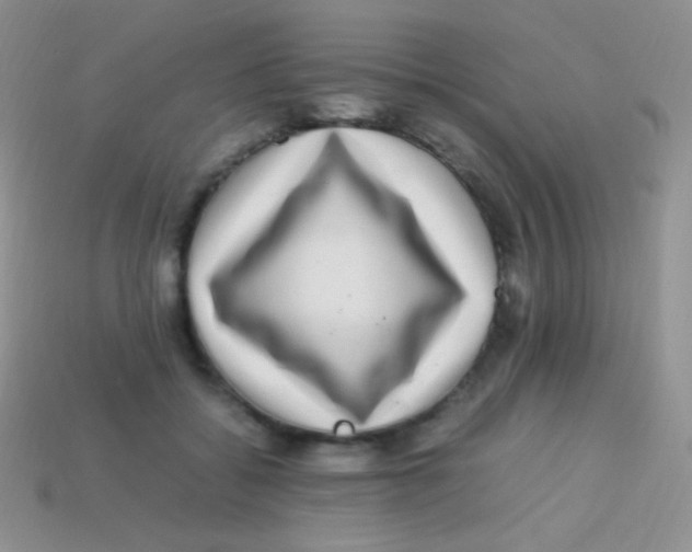 X0000113640556200910162039