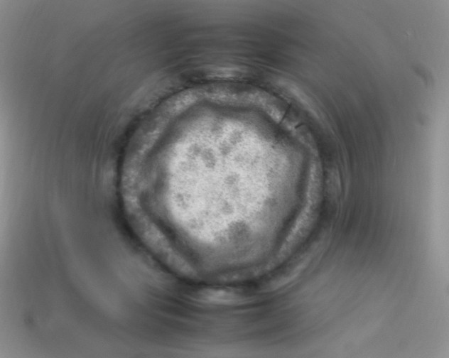 X0000113640557200910162039