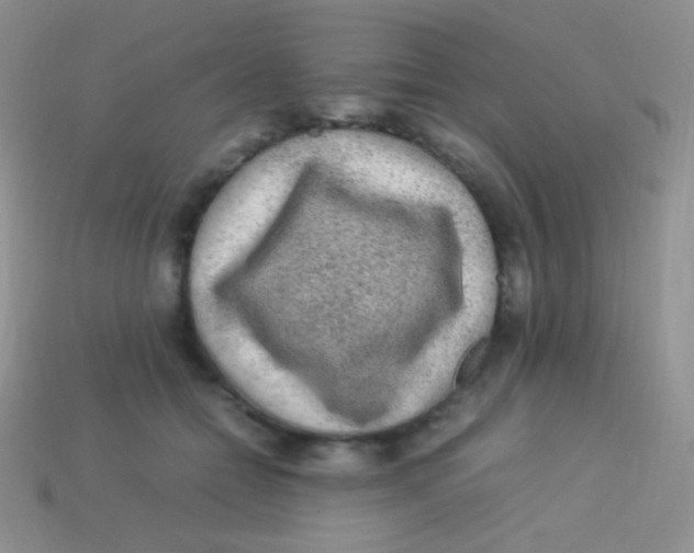 X0000113640558200910162039