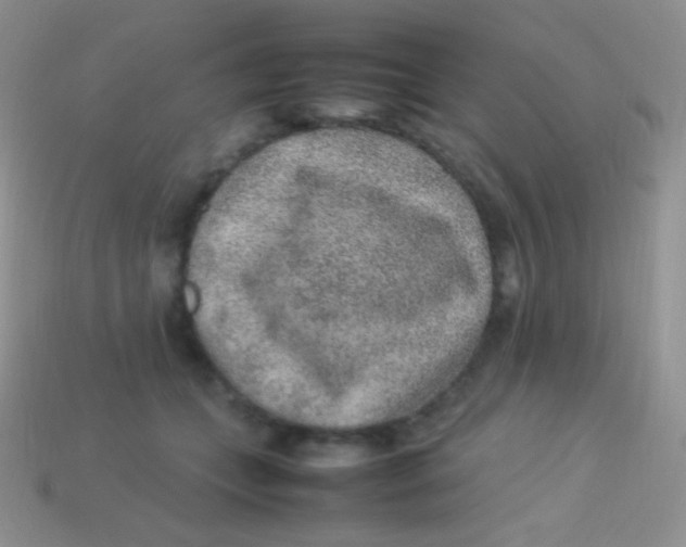 X0000113640559200910162039