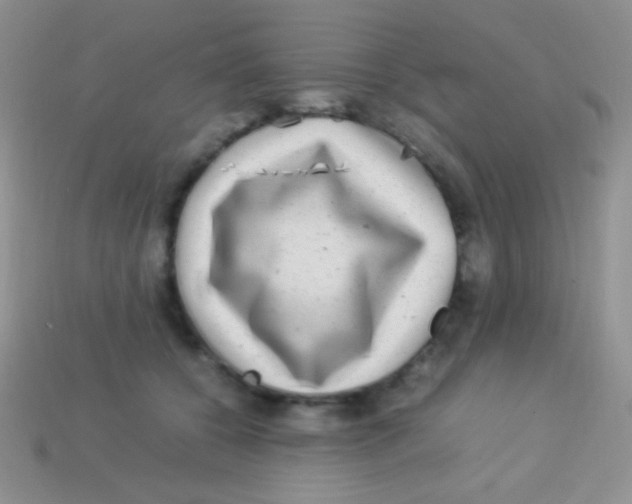 X0000113640560200910162039