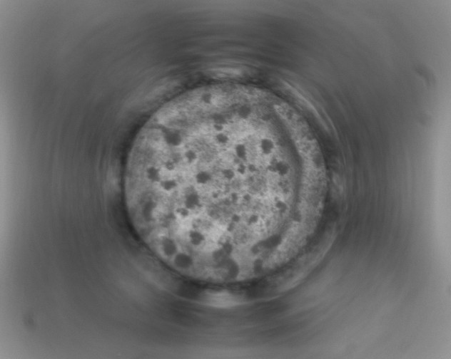 X0000113640561200910162039