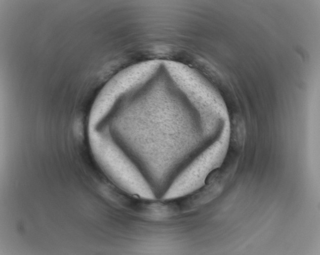 X0000113640562200910162039