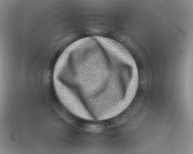 X0000113640563200910162039