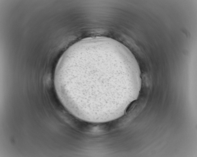 X0000113640564200910162039