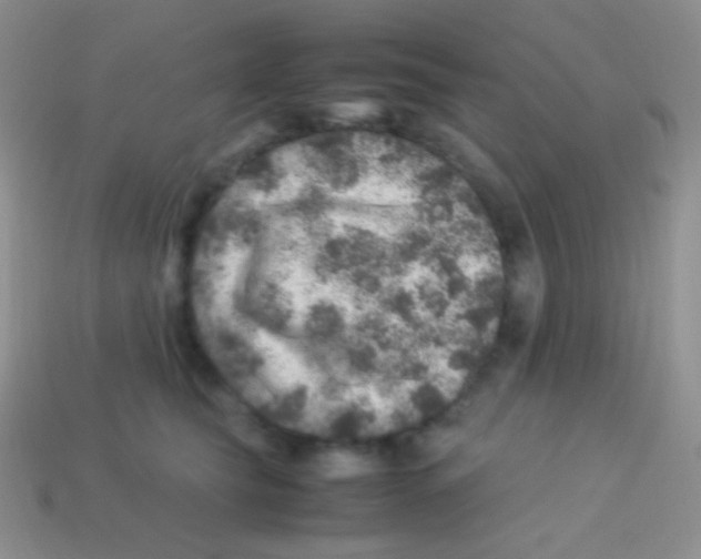 X0000113640565200910162039