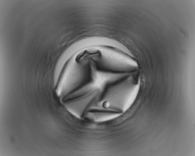 X0000113640568200910162039