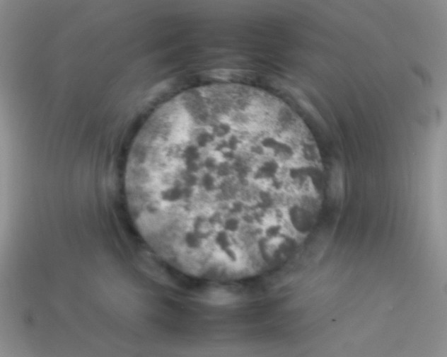 X0000113640569200910162039