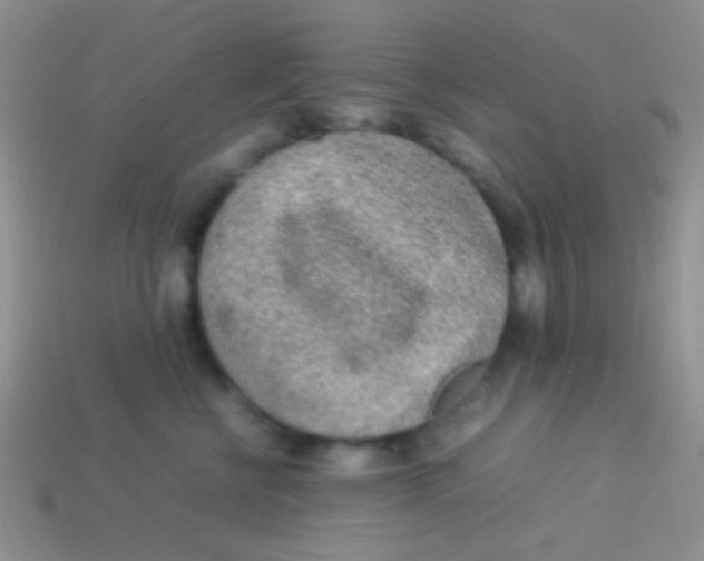 X0000113640570200910162039