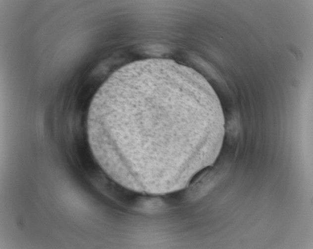 X0000113640572200910162040