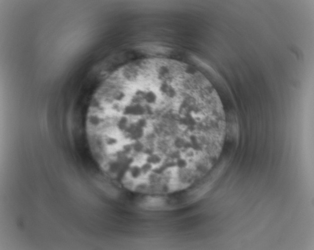 X0000113640573200910162040