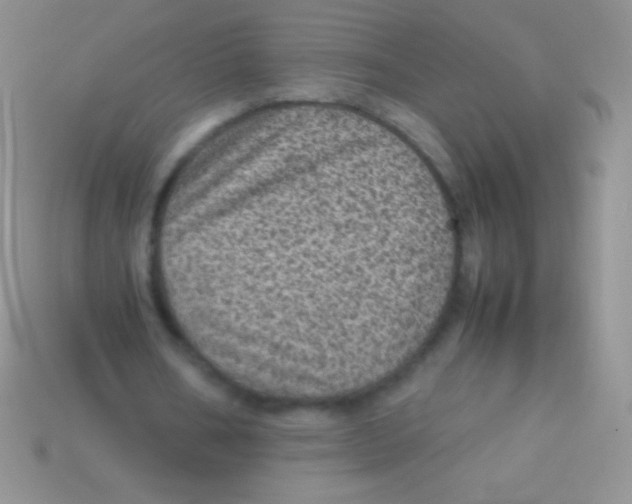 X0000113640578200910162039