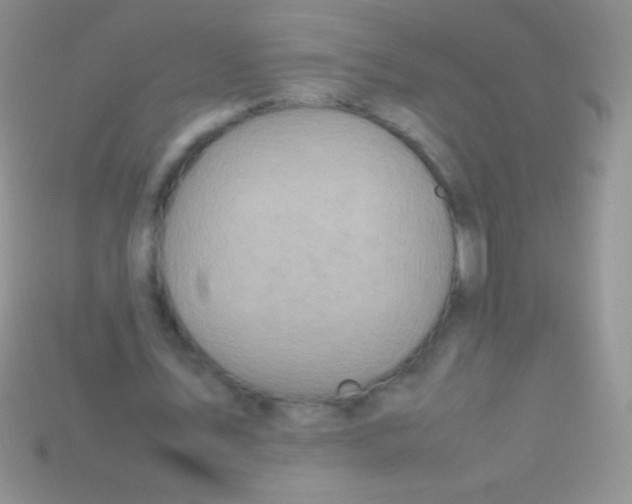 X0000113640579200910162039