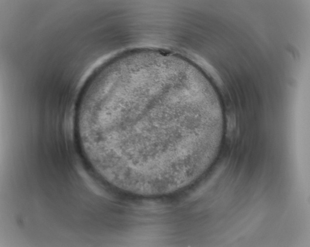 X0000113640580200910162039