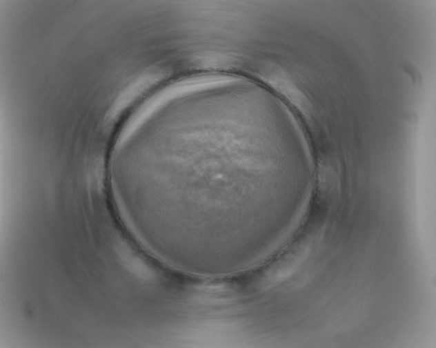 X0000113640581200910162039