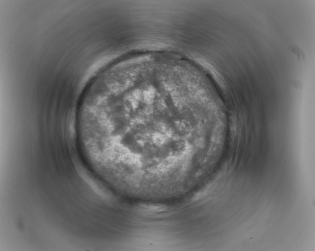 X0000113640582200910162039