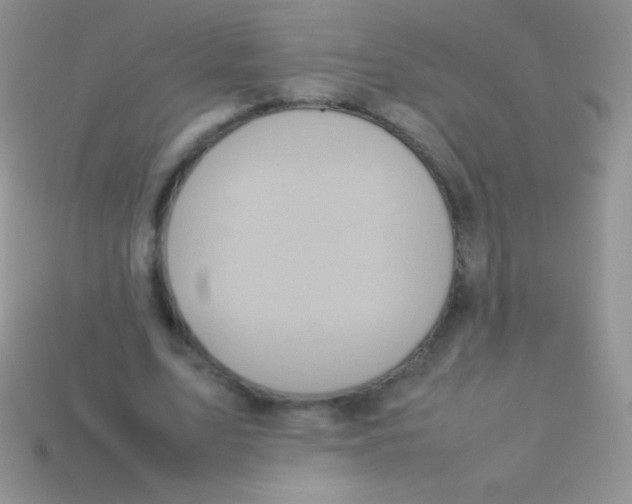 X0000113640583200910162039