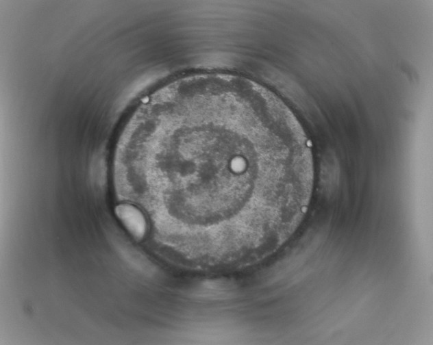 X0000113640584200910162039