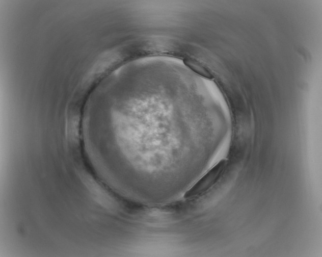 X0000113640585200910162039